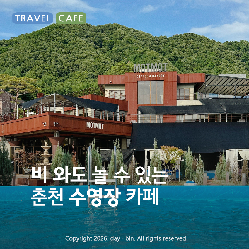 모토모토 사진