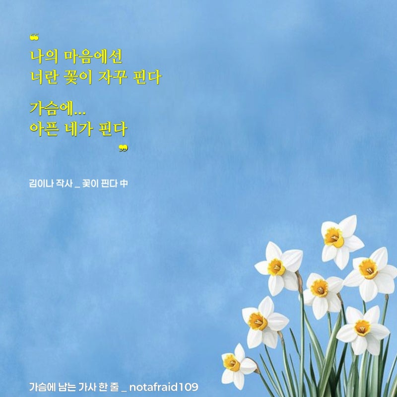 좋은 노래 가사 | 꽃이 핀다 _ 김이나 작사, 케이윌 노래