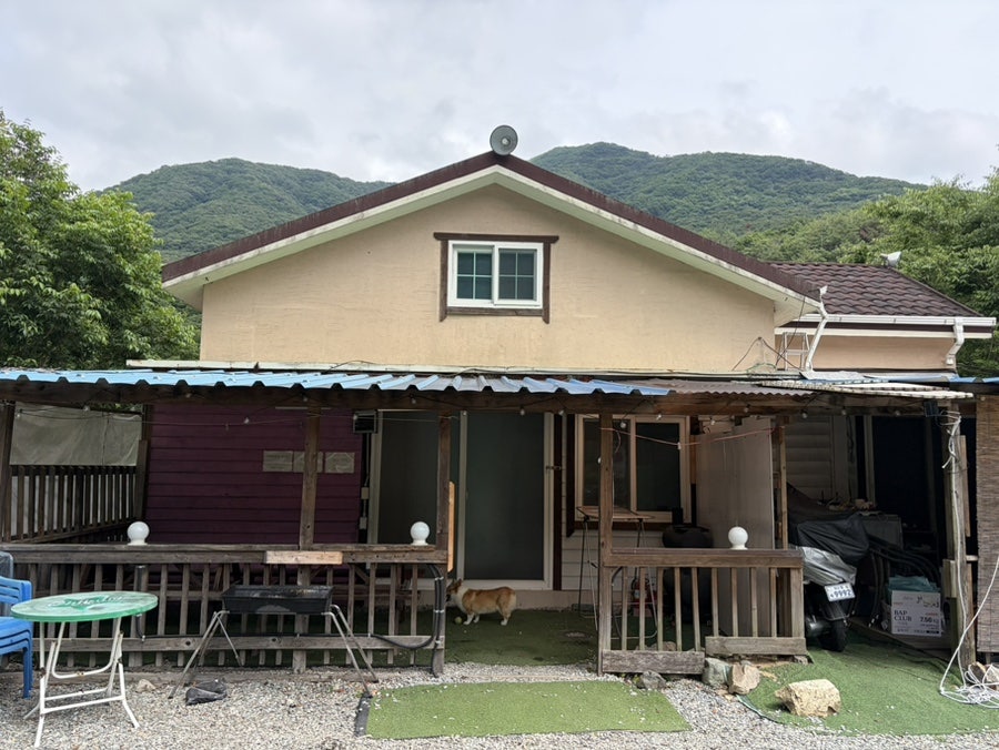 오늘리버독채펜션 사진 5