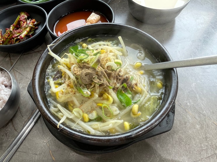제주시 가볼만한곳 제주도 해장국 내고향해장국