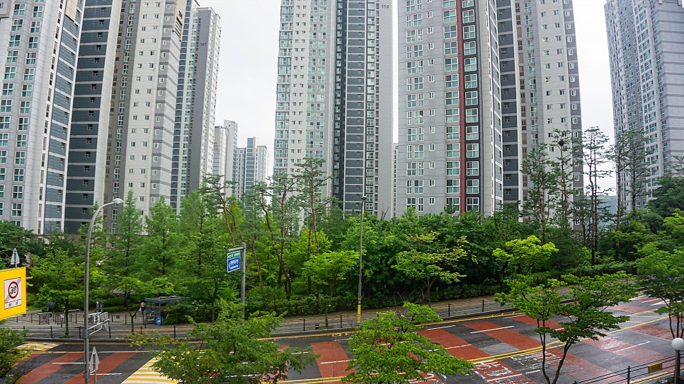 정스참나무화덕피자 사진 5