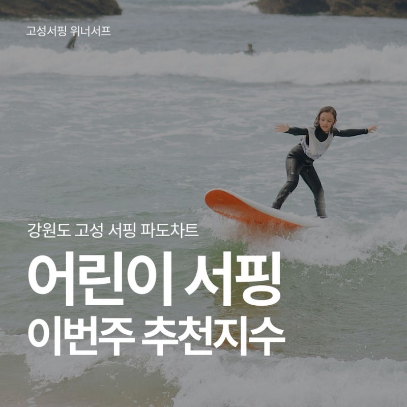 고성서핑 파도차트 강원도 서핑 강습 이번주 송지호 봉수대 추천