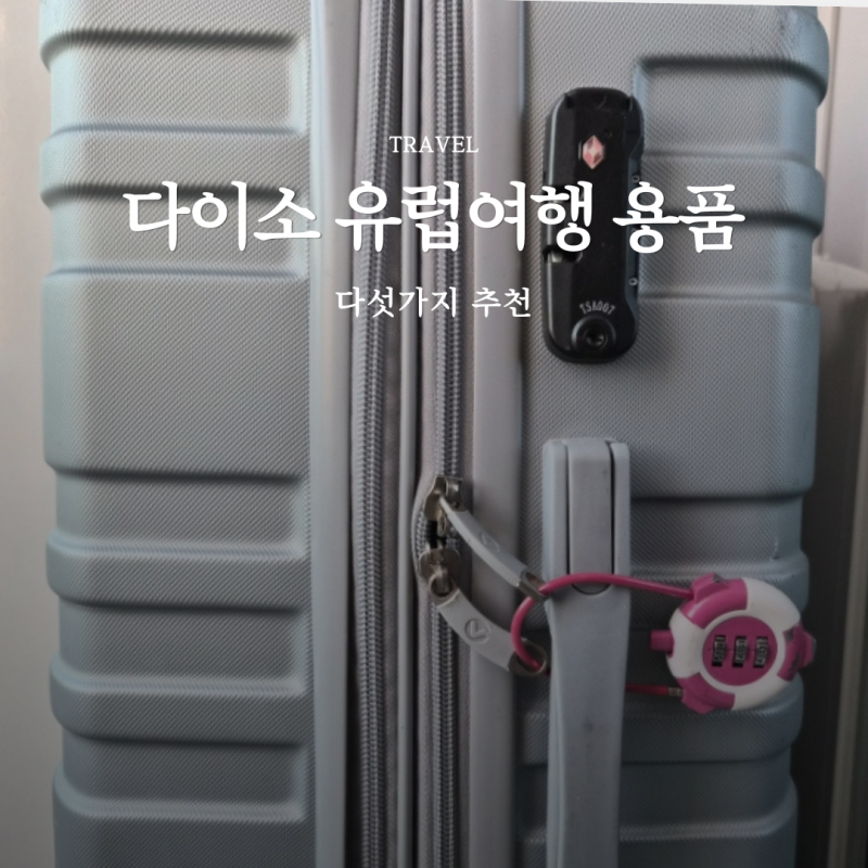 다이소 유럽 여행용품 추천 멀티어댑터 샤워 필터 포함