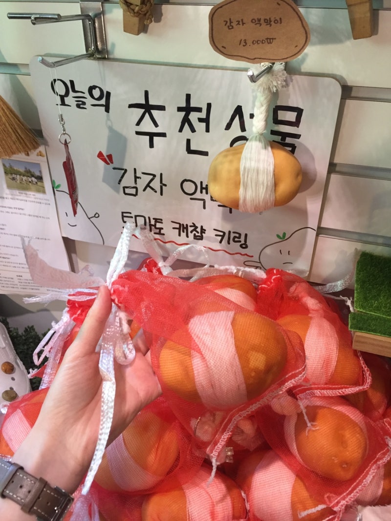강릉 소품샵 투어 3곳 : 포테이토교 / 프로젝트 심도 / 이발소 편집샵