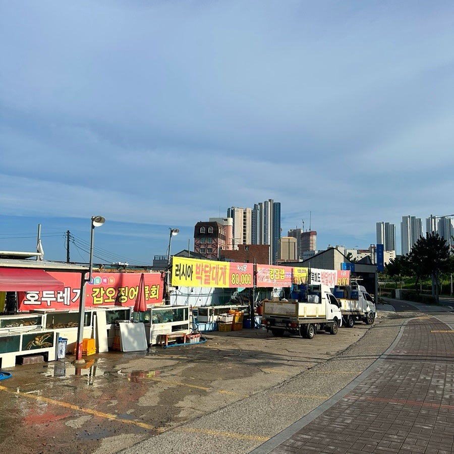 갯바위수산시장 사진 5