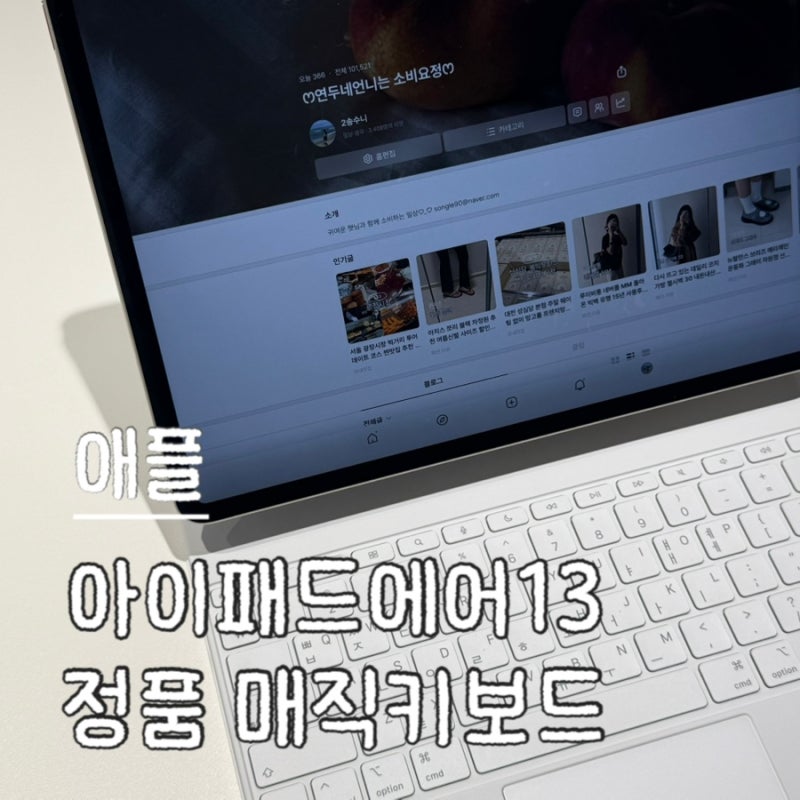 애플 아이패드 에어 13인치 M4 가격 인상 날 극적 구매후기 필름 추천 +정품 매직키보드 화이....