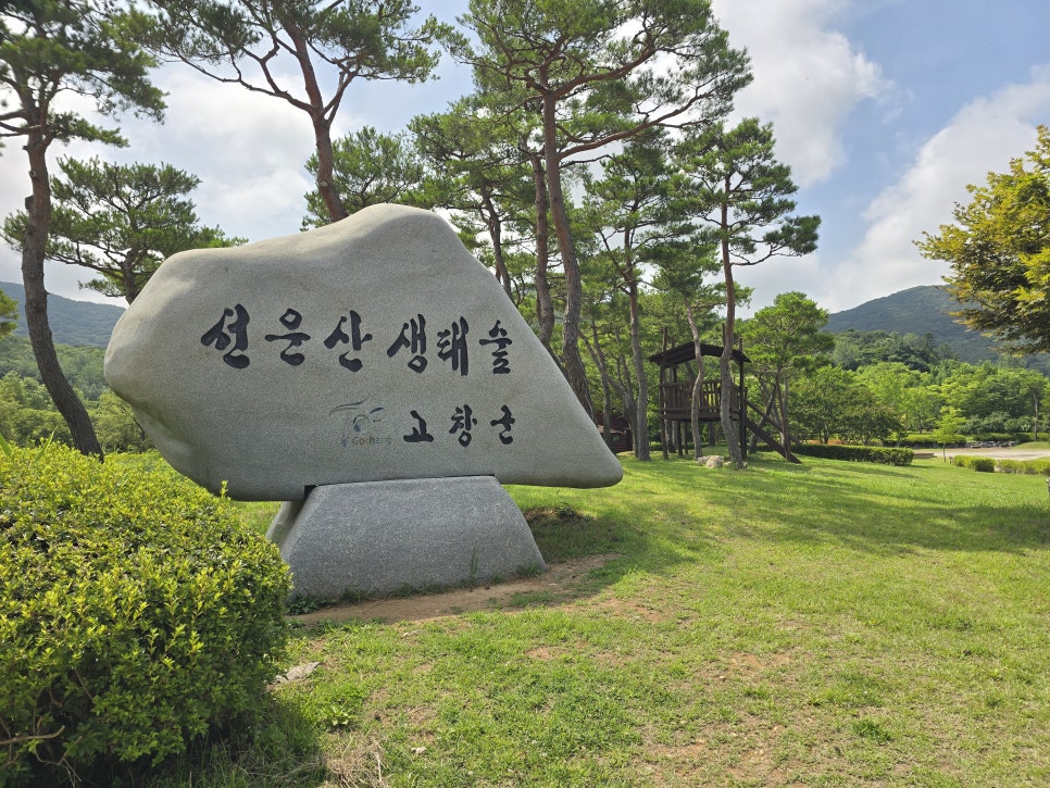하눌구르미 사진 1