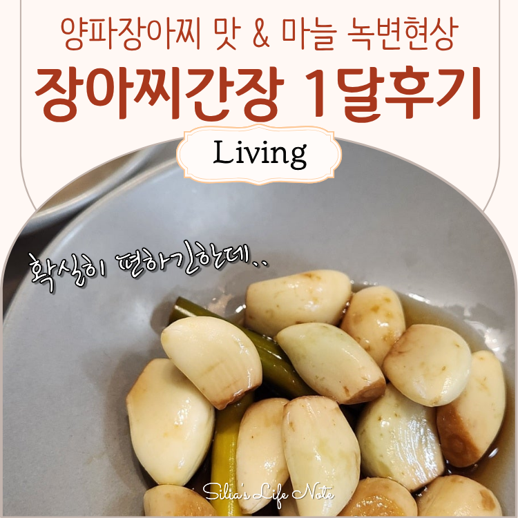 시판 장아찌간장 1개월 후기 마늘장아찌 초록색 녹변현상 양파장아찌 맛변화