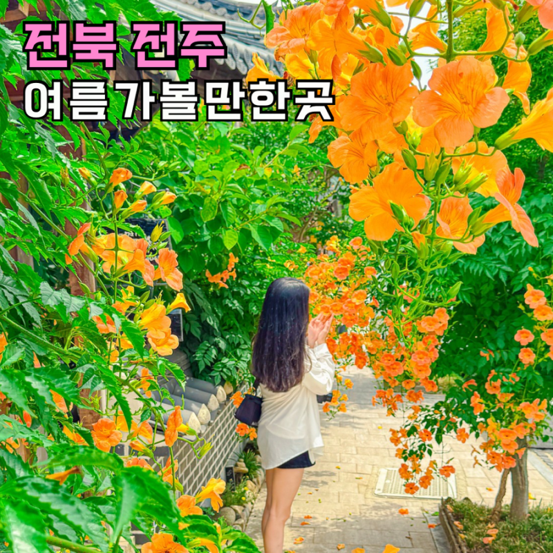 전주 여름가볼만한곳 전주한옥마을 능소화 데이트코스 추천