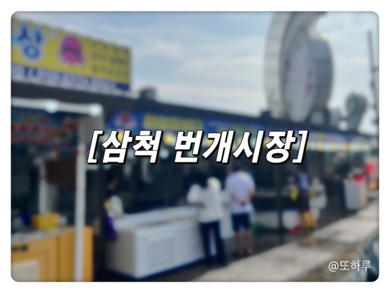 강원도 삼척 가볼만한 곳 번개시장 총알오징어 통찜 제철