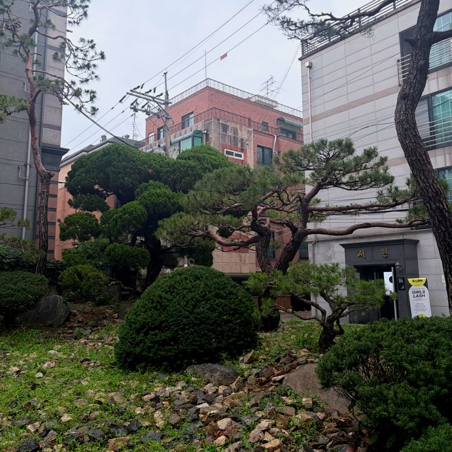 앤트러사이트 서교점 사진 4