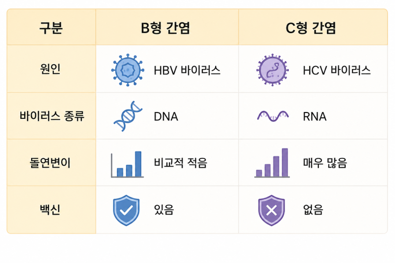 B형 간염과 C형 간염, 뭐가 다를까? 증상부터 치료까지 한눈에