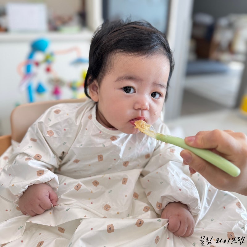 초기 이유식 1단계 2단계 시작시기와 식단표 재료 만들기 팁