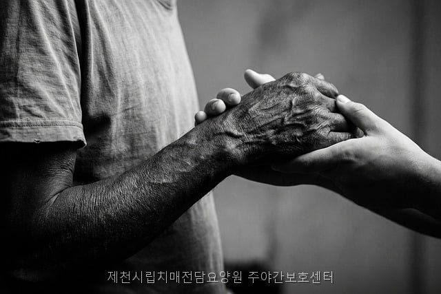 제천시립치매전담요양원 사진 2