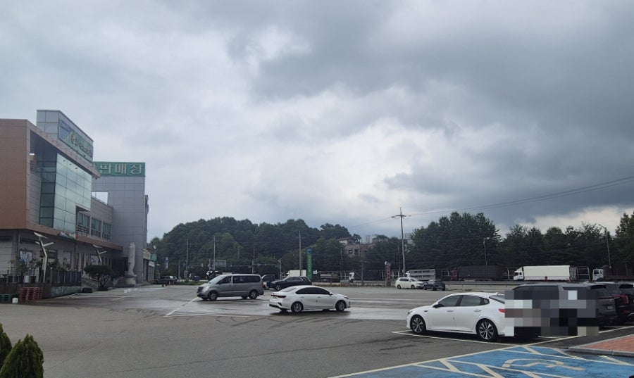 토실토실한식뷔페 증평인삼휴게소점 사진 3