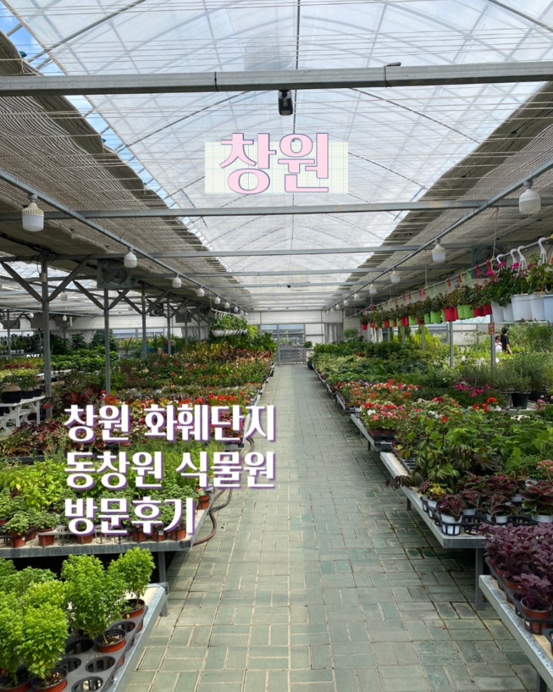경남 창원 화훼단지 동창원 식물원 방문 후기