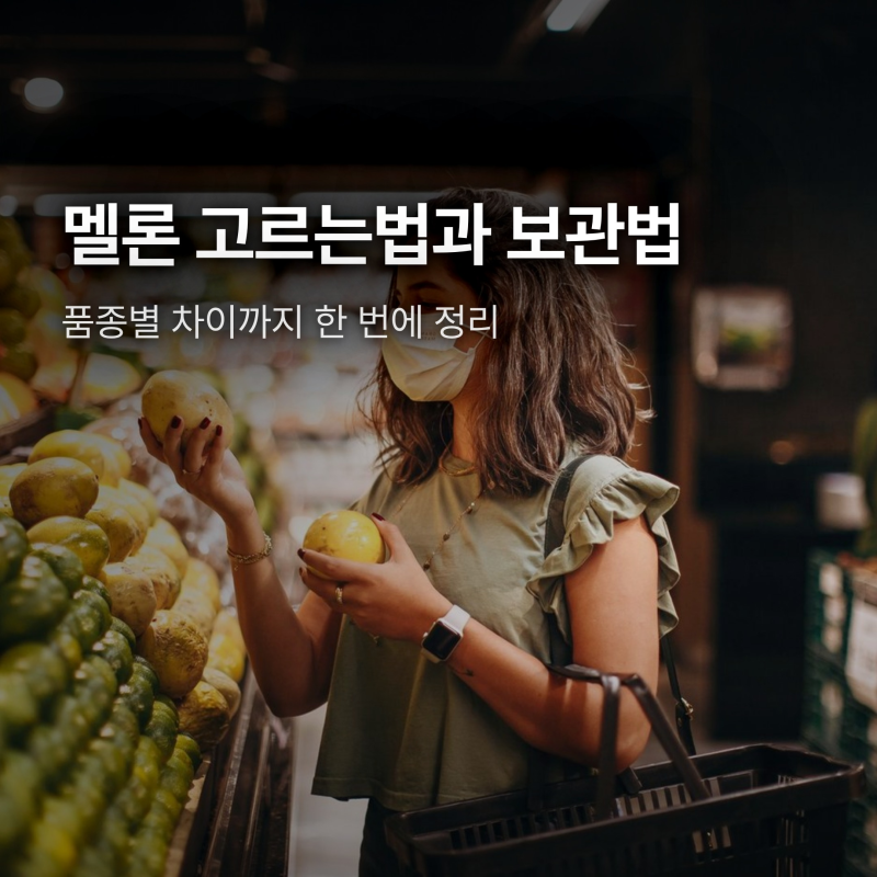 멜론 고르는법과 보관법, 품종 차이는 뭘까