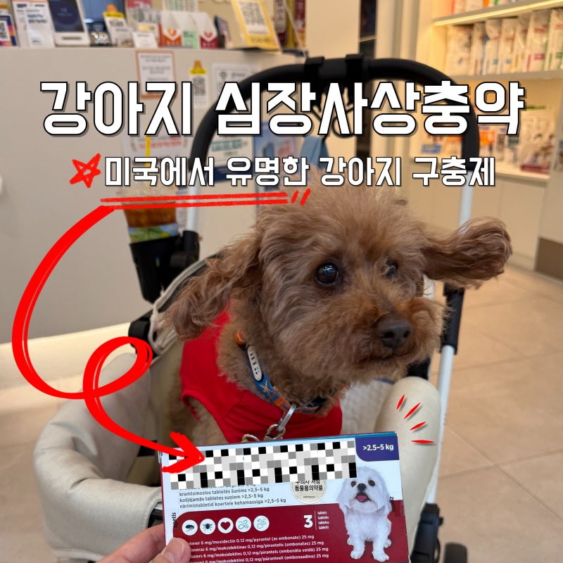 안전하게 챙겨주는 강아지 심장사상충약 구충제 심패리카 트리오