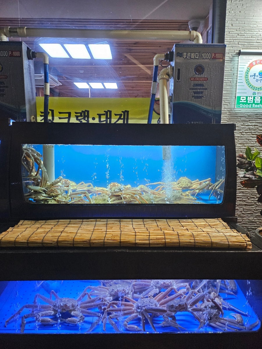 동해킹크랩대게전문점 사진 1