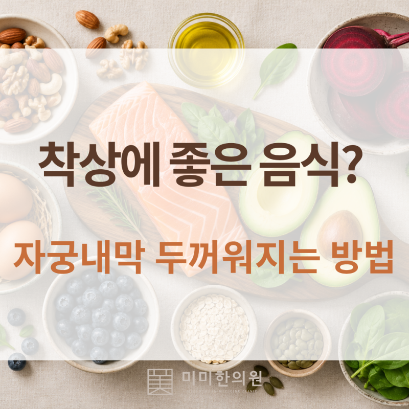 착상에 좋은 음식? 자궁내막 두꺼워지는 방법 어떤 게 있을까? 자궁내막과 임신 준비 식단 관....