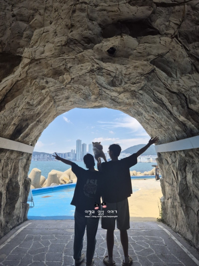부산 애견동반 가볼만한곳 강아지랑 부산여행 기록