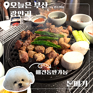 부산 광안리 애견동반 식당 찾는다면? 고기까지 완벽한 삼겹살 맛집 돈베기