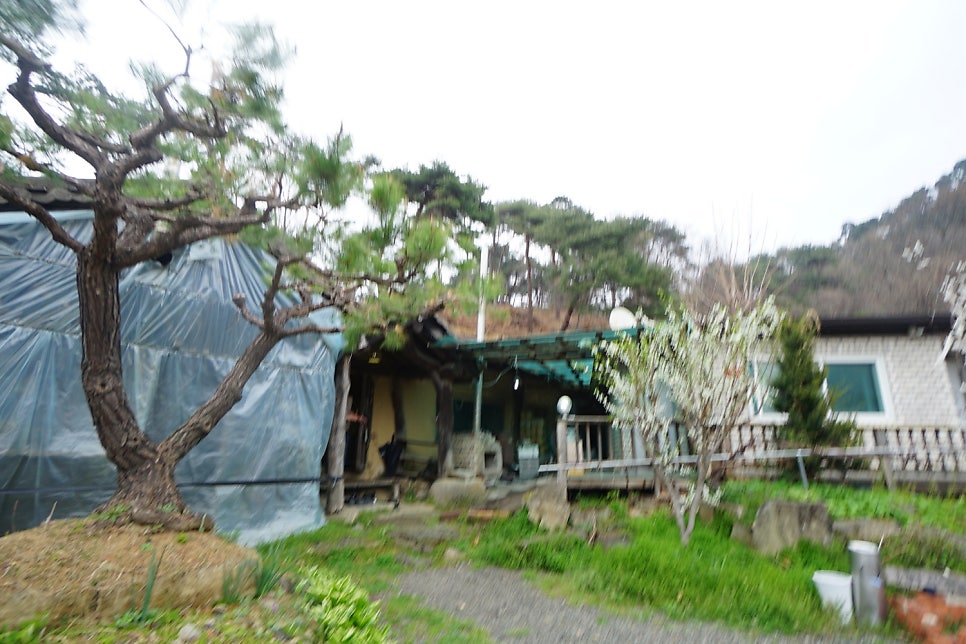 천등산염소마을 사진 1
