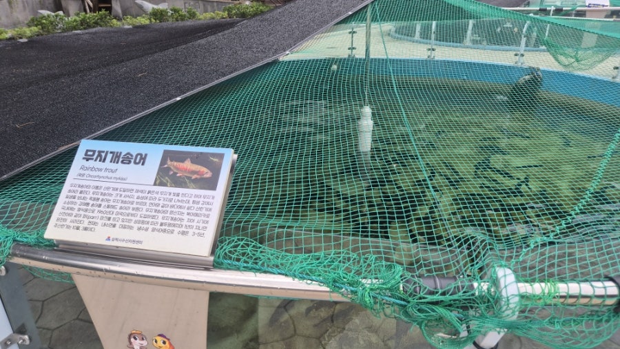 민물고기전시관 사진 5