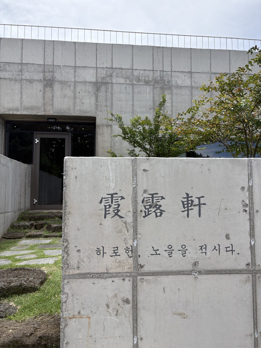 하로헌 사진 5