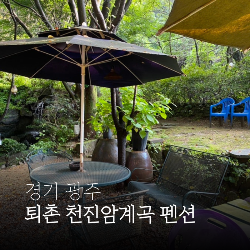 [경기도 광주] 드리밍하우스 - 천진암 계곡 힐링하기 좋은 숲속 퇴촌 펜션