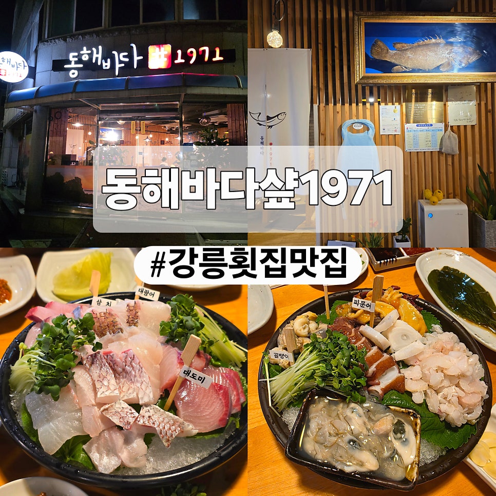 동해바다샾1971 사진 1