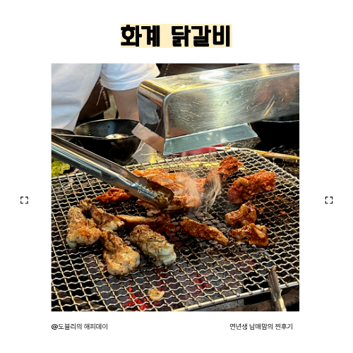 리아 사진 1