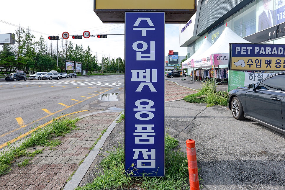 투고 사진 3