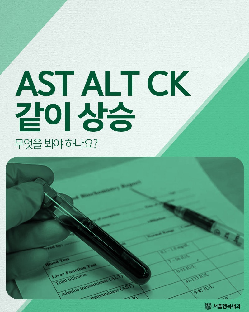 AST ALT CK 같이 상승, 무엇을 봐야 하나요?
