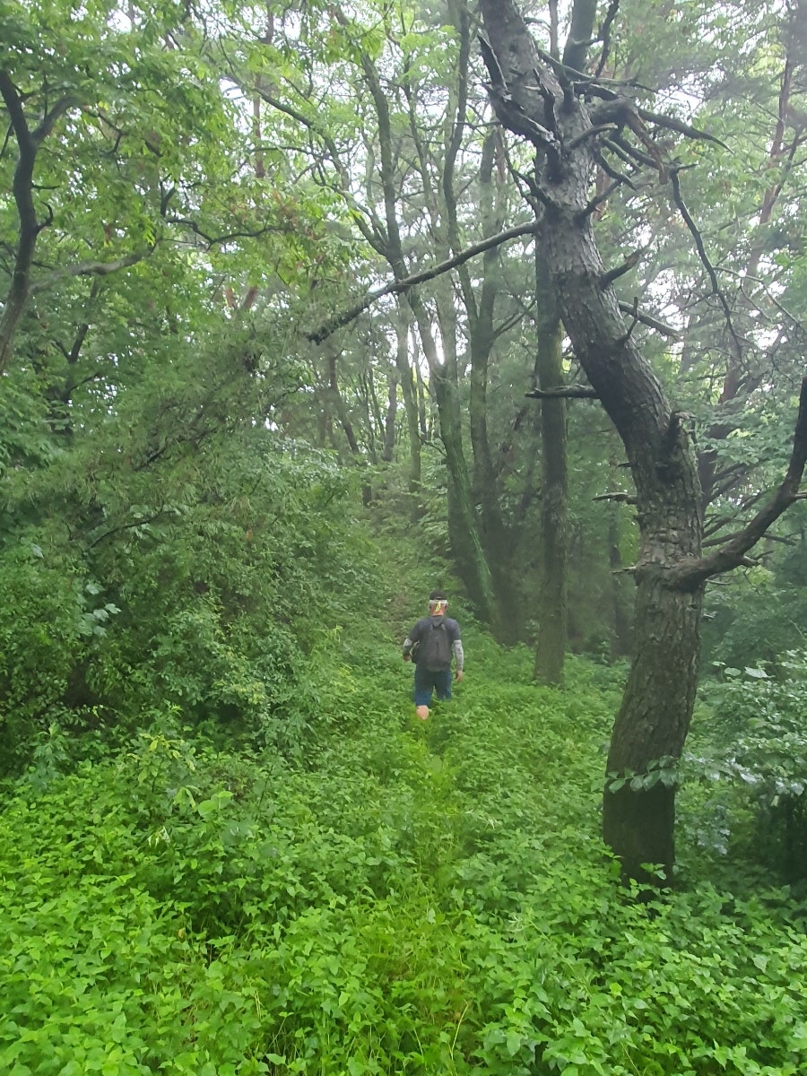 망덕산 사진 1