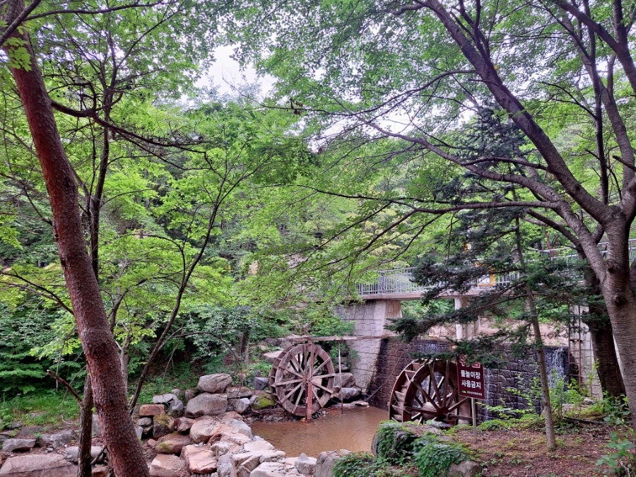 오도산 치유의숲 사진 4