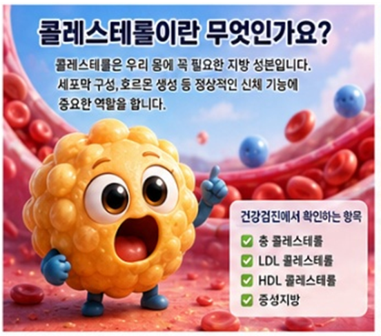 콜레스테롤 정상 수치와 관리 방법 총정리｜LDL 낮추는 생활 습관부터 음식, 약물 치료 기준....