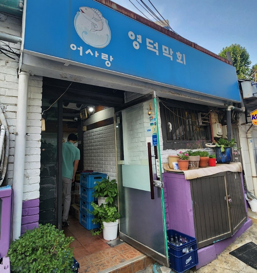 영덕막회 사진 2