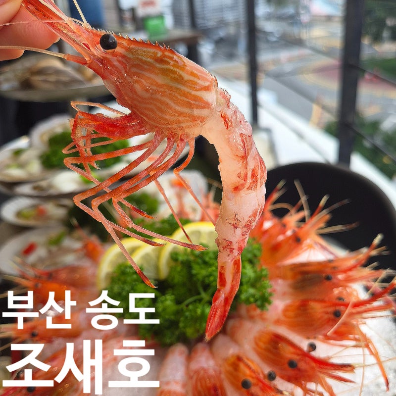 부산 송도 맛집 조새호, 조개구이와 독도새우에 반하고 온 곳