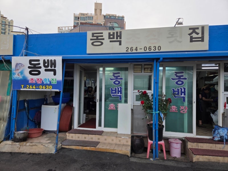 [부산] 다대포항 횟집 초장집 ‘동백초장횟집’ 후기
