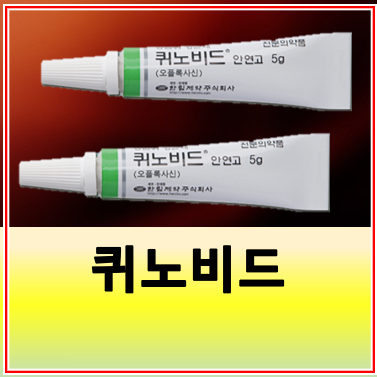 퀴노비드 안연고 성분 효능 사용법 부작용