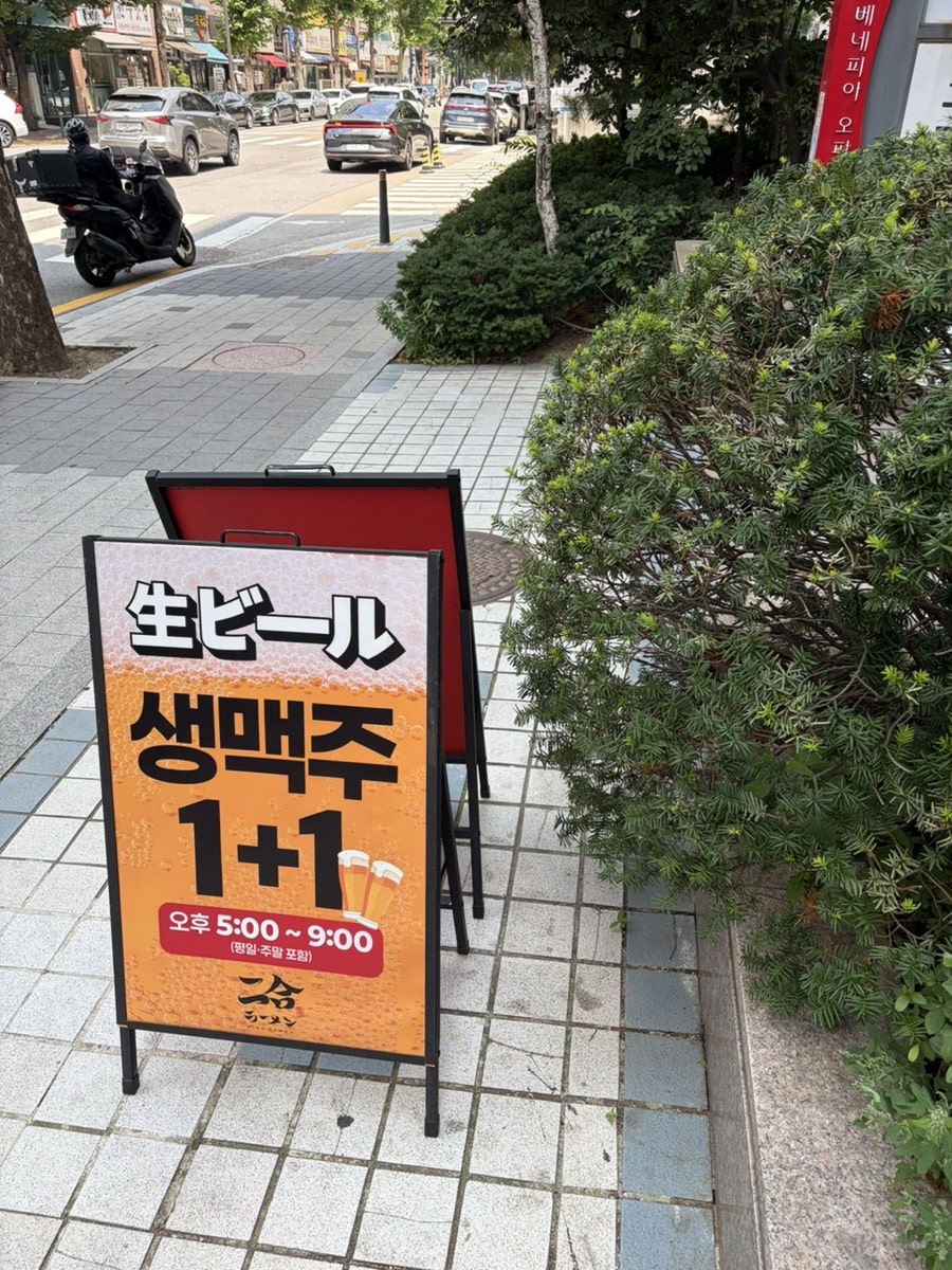 니고라멘 야탑직영점 사진 3