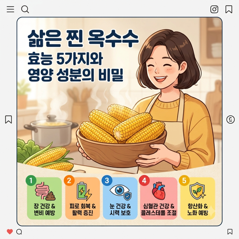 삶은 찐 옥수수 효능 5가지와 초당옥수수 혈당 칼로리 비교, 옥수수수염차 부종 완화 효과