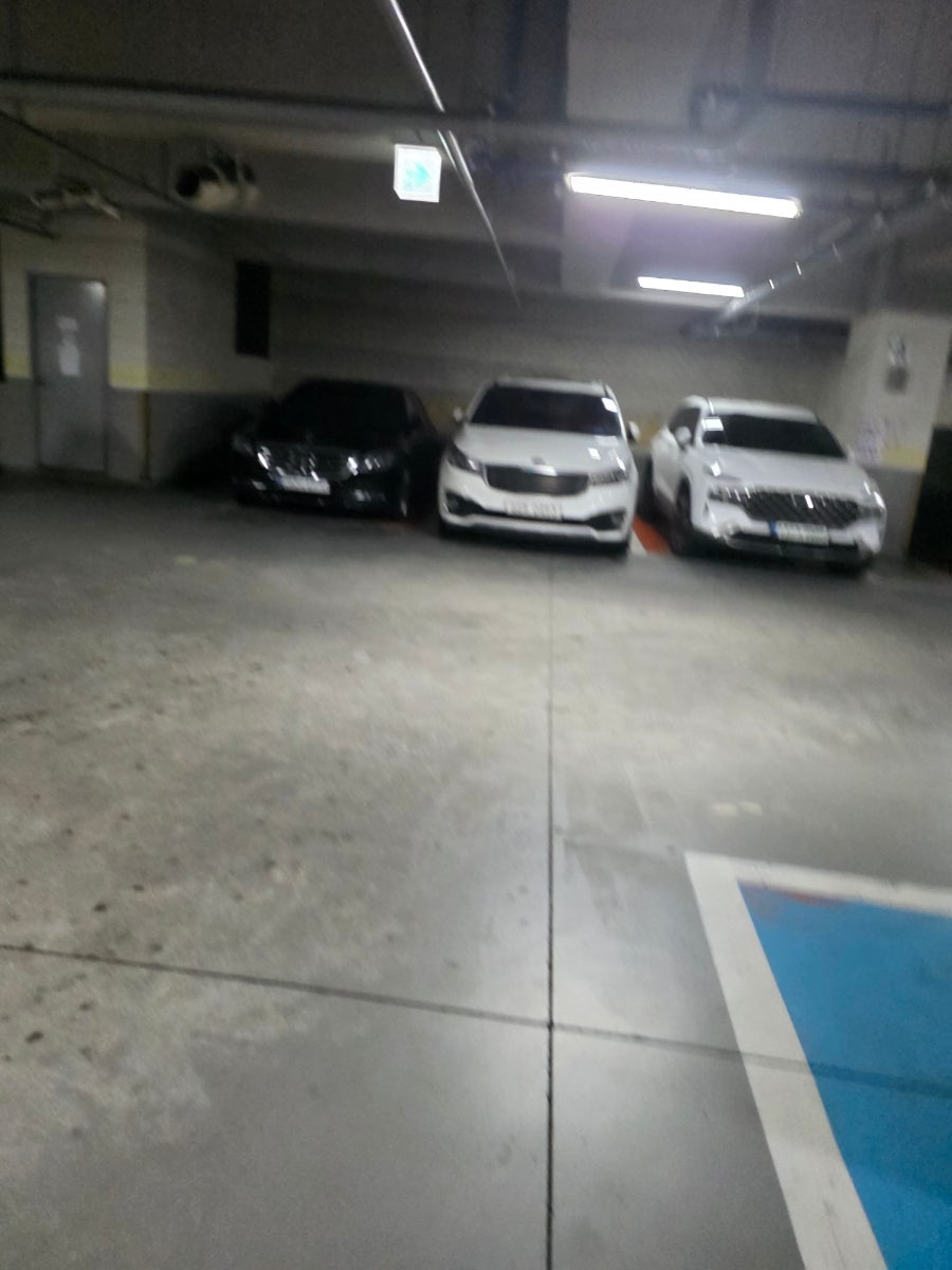 시카고 야미피자 사진 6
