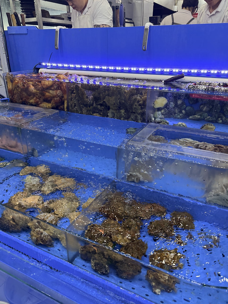 여자수산 사진 4