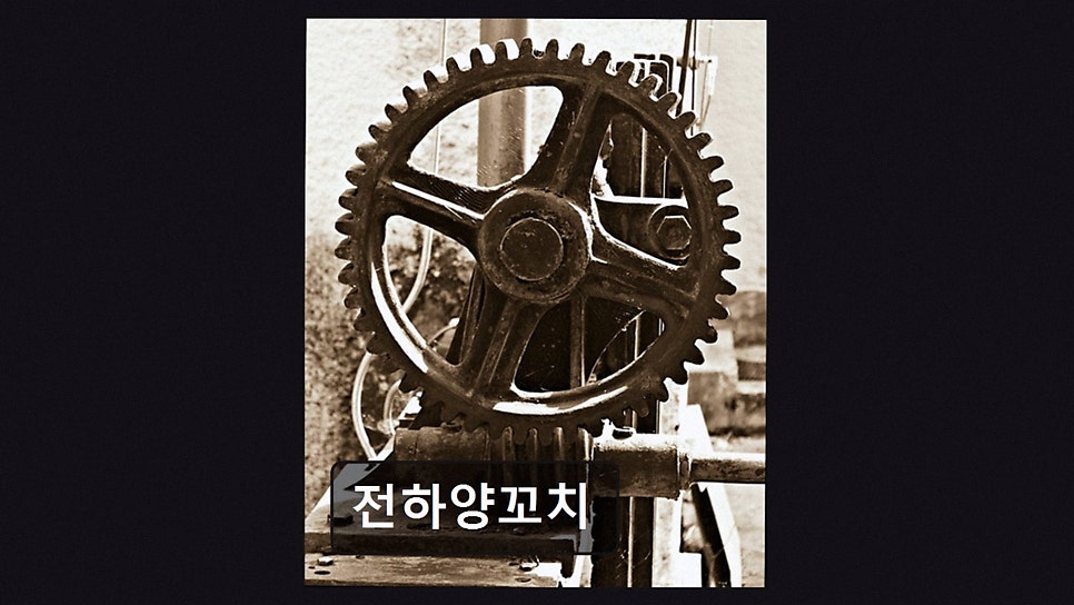 전하양꼬치 사진 3