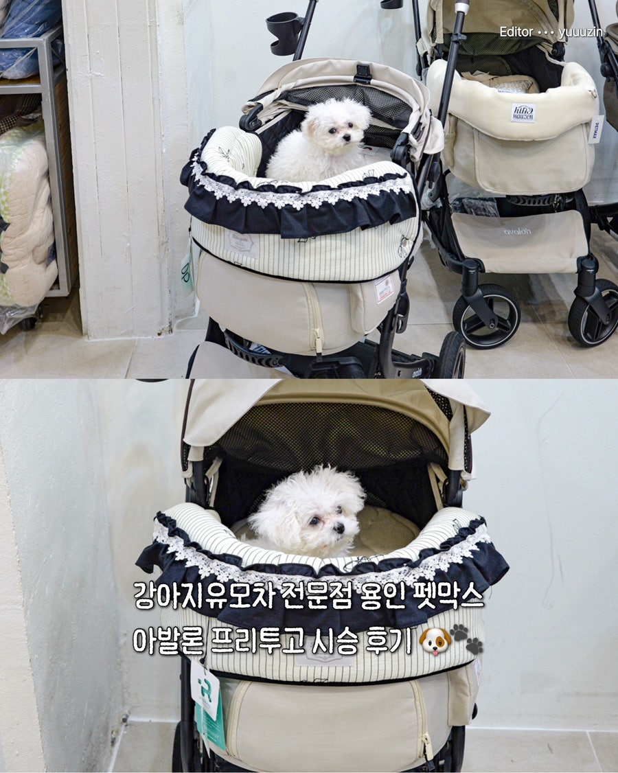 투고 사진 1