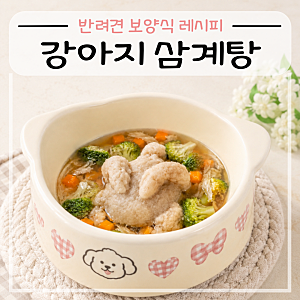 초복 기념 반려견 보양식 만들기 강아지 삼계탕 레시피