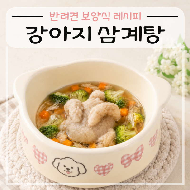 초복 기념 반려견 보양식 만들기 강아지 삼계탕 레시피