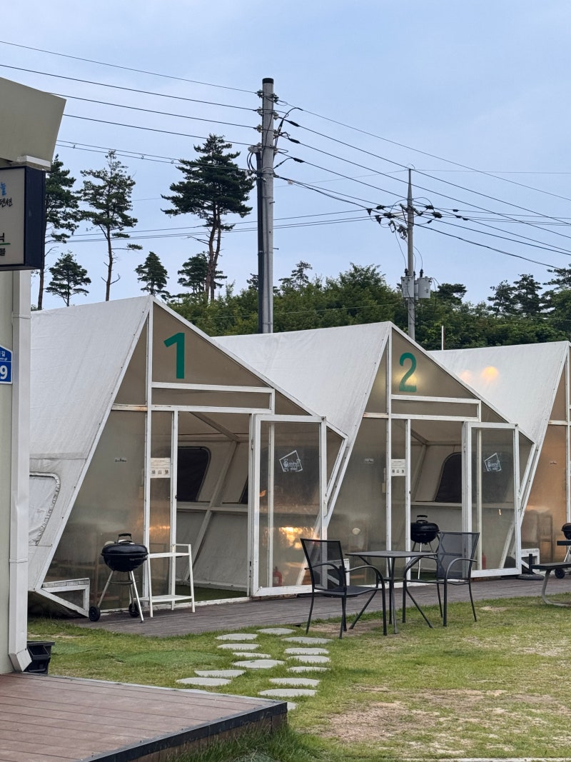 Recommended Activities at Sokcho Night Sky Glamping Pension in Gangwon-do (Facilities, BBQ)